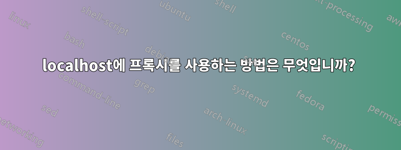 localhost에 프록시를 사용하는 방법은 무엇입니까?