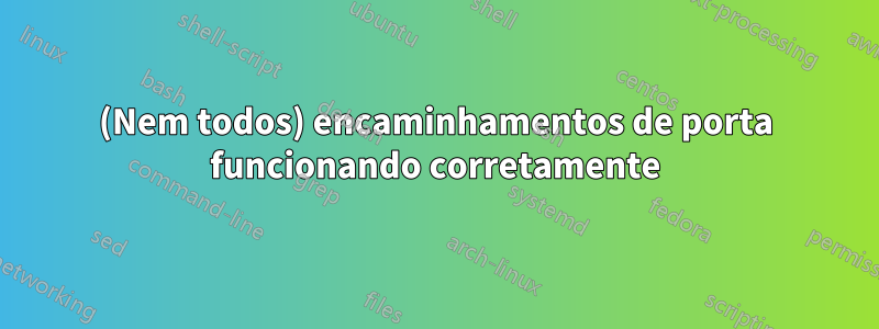 (Nem todos) encaminhamentos de porta funcionando corretamente