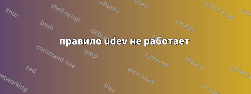 правило udev не работает