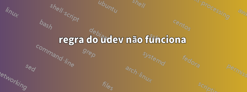 regra do udev não funciona