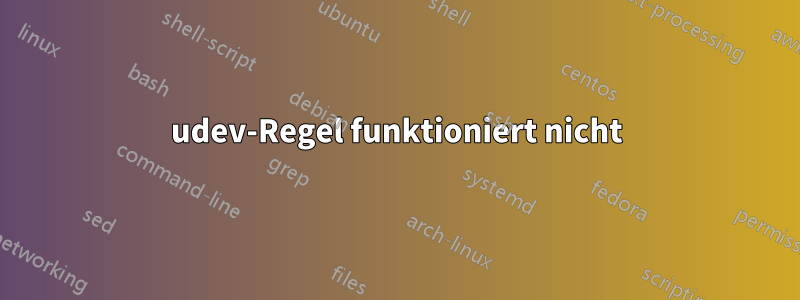 udev-Regel funktioniert nicht