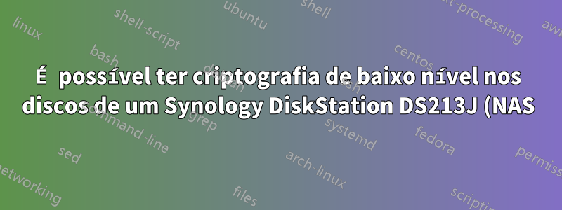 É possível ter criptografia de baixo nível nos discos de um Synology DiskStation DS213J (NAS)?