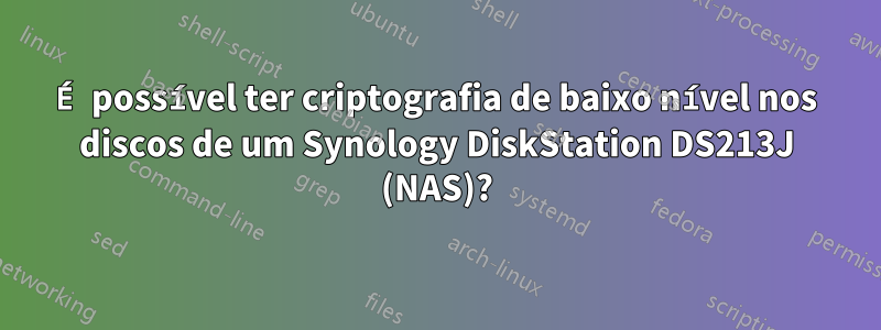 É possível ter criptografia de baixo nível nos discos de um Synology DiskStation DS213J (NAS)?