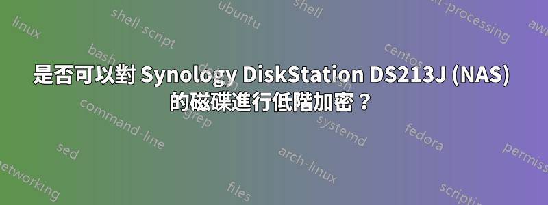 是否可以對 Synology DiskStation DS213J (NAS) 的磁碟進行低階加密？