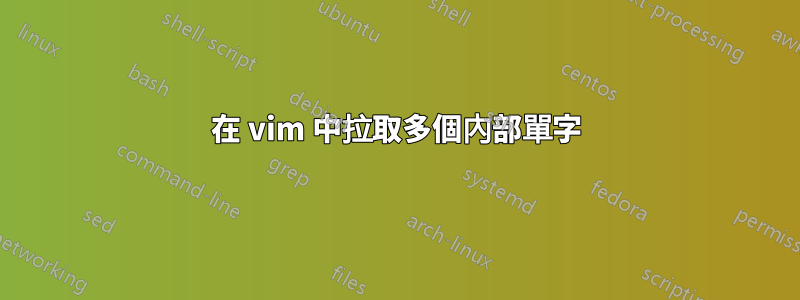 在 vim 中拉取多個內部單字