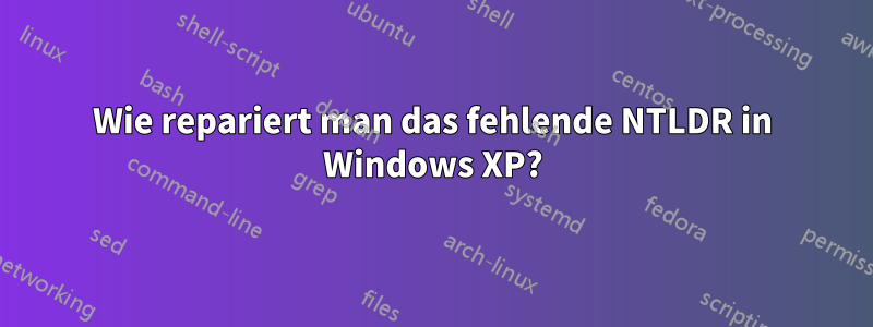 Wie repariert man das fehlende NTLDR in Windows XP?