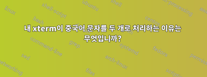 내 xterm이 중국어 문자를 두 개로 처리하는 이유는 무엇입니까?