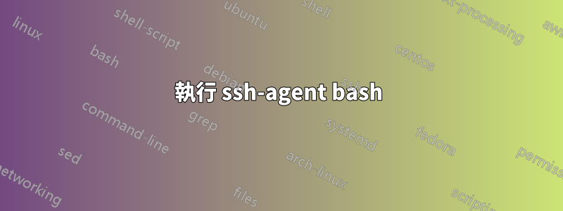 執行 ssh-agent bash