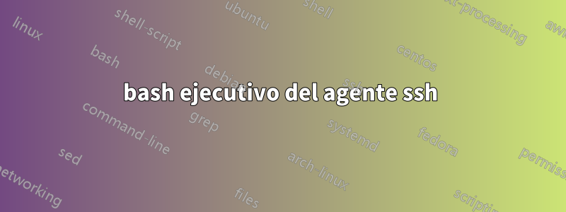 bash ejecutivo del agente ssh