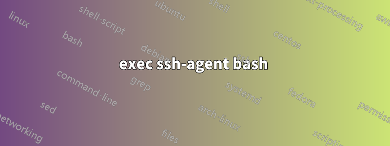 exec ssh-agent bash