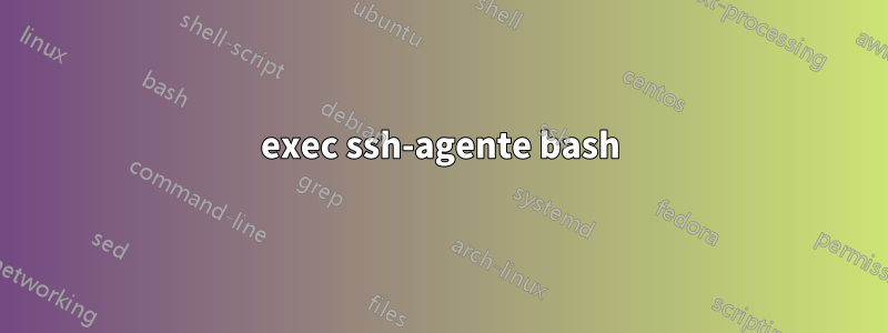 exec ssh-agente bash