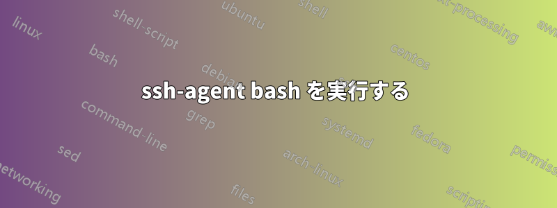 ssh-agent bash を実行する