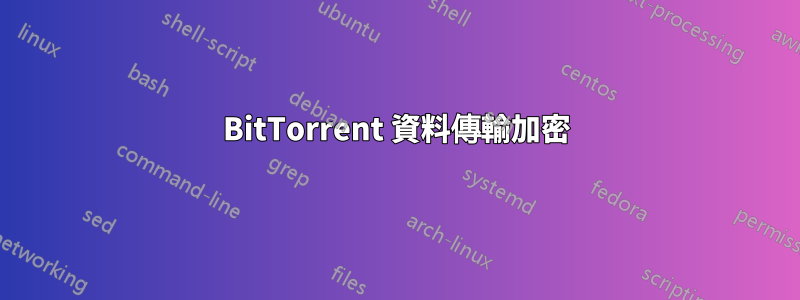 BitTorrent 資料傳輸加密