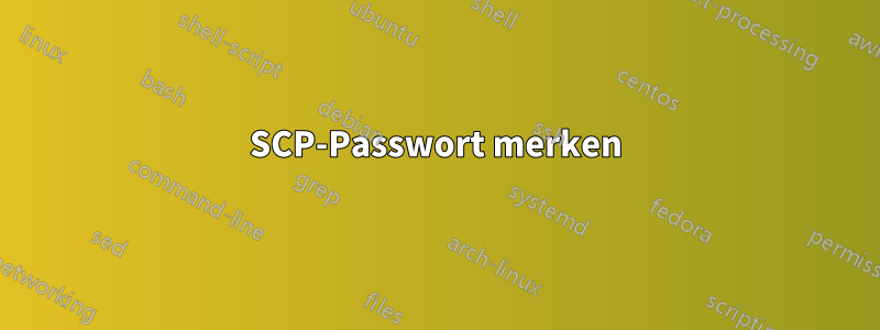 SCP-Passwort merken