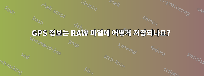 GPS 정보는 RAW 파일에 어떻게 저장되나요?