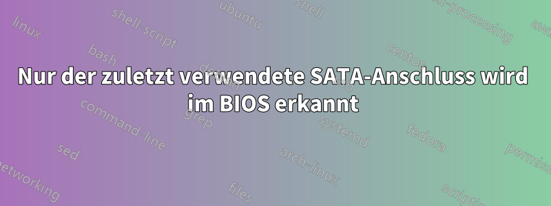 Nur der zuletzt verwendete SATA-Anschluss wird im BIOS erkannt