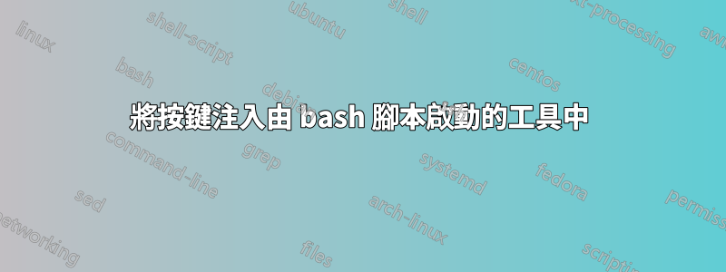 將按鍵注入由 bash 腳本啟動的工具中