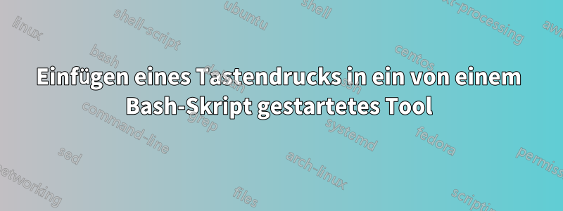 Einfügen eines Tastendrucks in ein von einem Bash-Skript gestartetes Tool