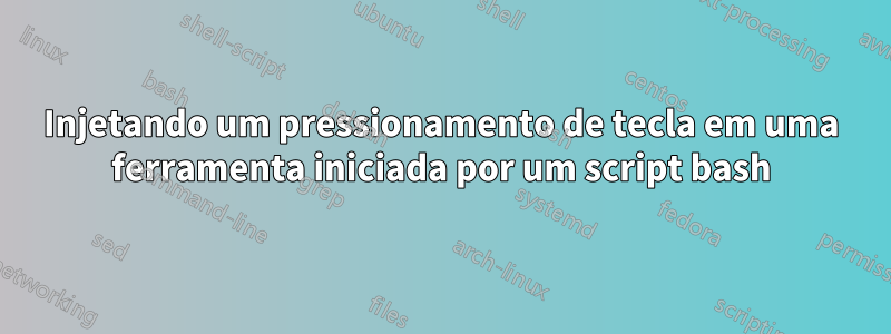 Injetando um pressionamento de tecla em uma ferramenta iniciada por um script bash