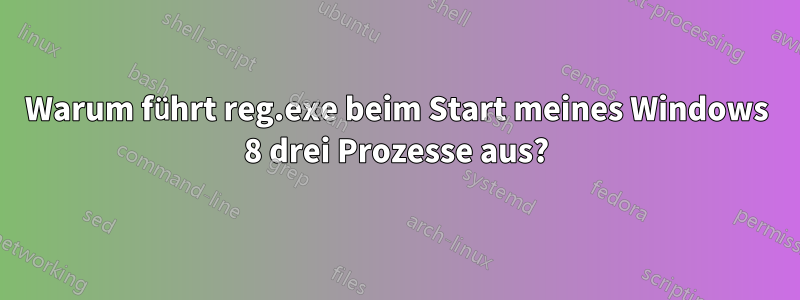 Warum führt reg.exe beim Start meines Windows 8 drei Prozesse aus?