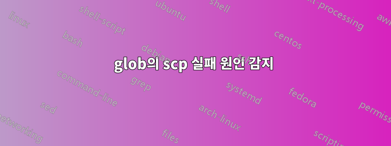 glob의 scp 실패 원인 감지