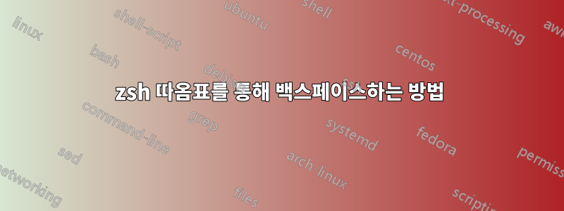 zsh 따옴표를 통해 백스페이스하는 방법