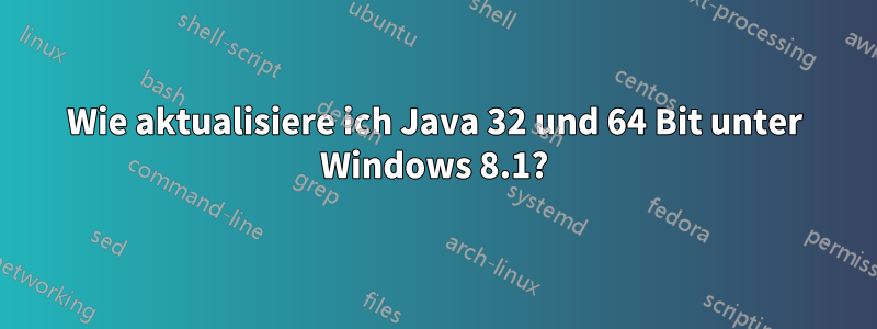 Wie aktualisiere ich Java 32 und 64 Bit unter Windows 8.1?