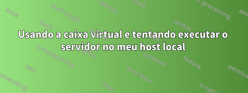 Usando a caixa virtual e tentando executar o servidor no meu host local