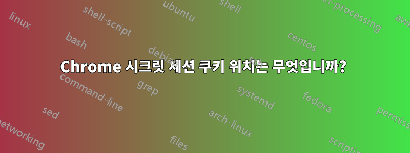 Chrome 시크릿 세션 쿠키 위치는 무엇입니까?