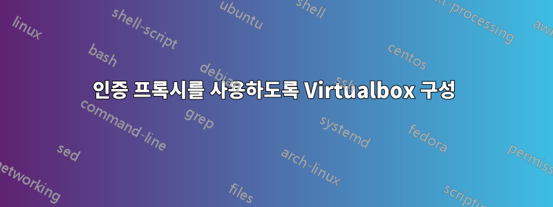 인증 프록시를 사용하도록 Virtualbox 구성