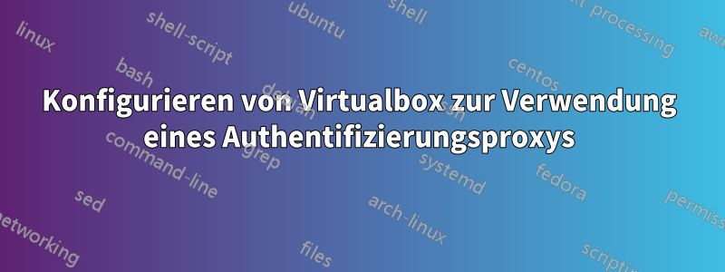 Konfigurieren von Virtualbox zur Verwendung eines Authentifizierungsproxys