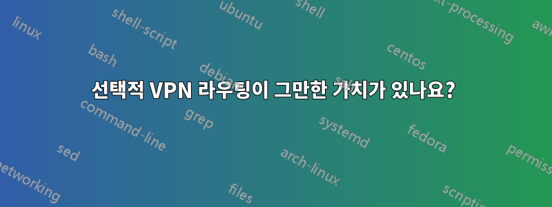 선택적 VPN 라우팅이 그만한 가치가 있나요?