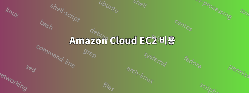 Amazon Cloud EC2 비용 