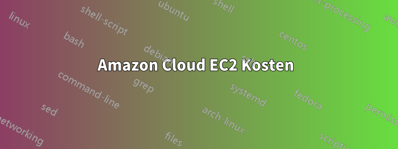 Amazon Cloud EC2 Kosten 