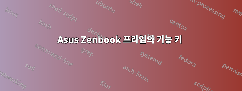 Asus Zenbook 프라임의 기능 키