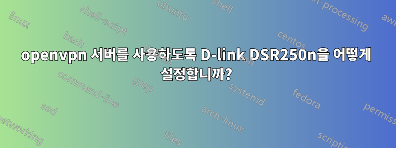 openvpn 서버를 사용하도록 D-link DSR250n을 어떻게 설정합니까?