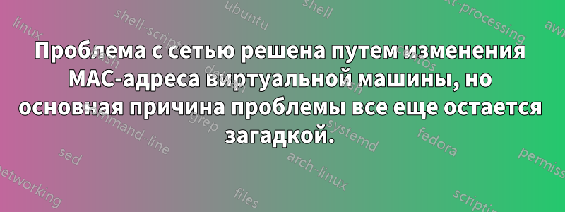 Проблема с сетью решена путем изменения MAC-адреса виртуальной машины, но основная причина проблемы все еще остается загадкой.