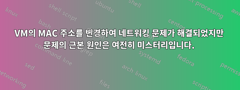 VM의 MAC 주소를 변경하여 네트워킹 문제가 해결되었지만 문제의 근본 원인은 여전히 ​​미스터리입니다.