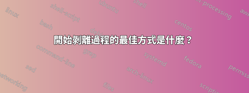 開始剝離過程的最佳方式是什麼？