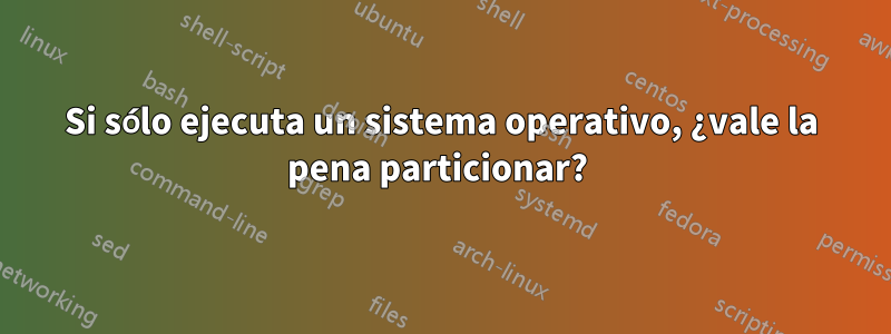 Si sólo ejecuta un sistema operativo, ¿vale la pena particionar? 