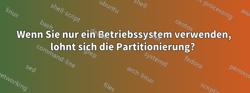 Wenn Sie nur ein Betriebssystem verwenden, lohnt sich die Partitionierung? 