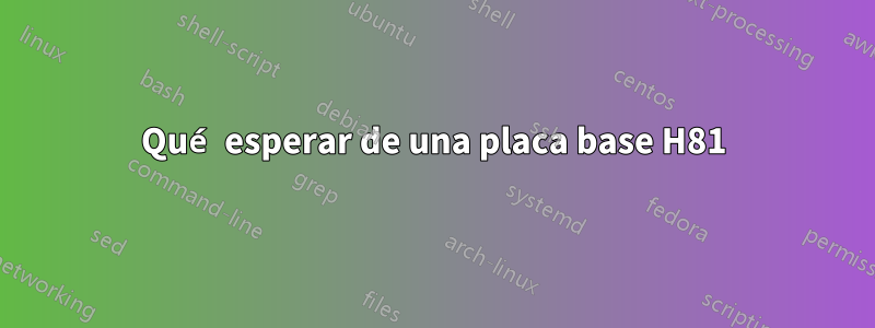 Qué esperar de una placa base H81