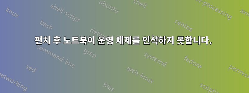 펀치 후 노트북이 운영 체제를 인식하지 못합니다.