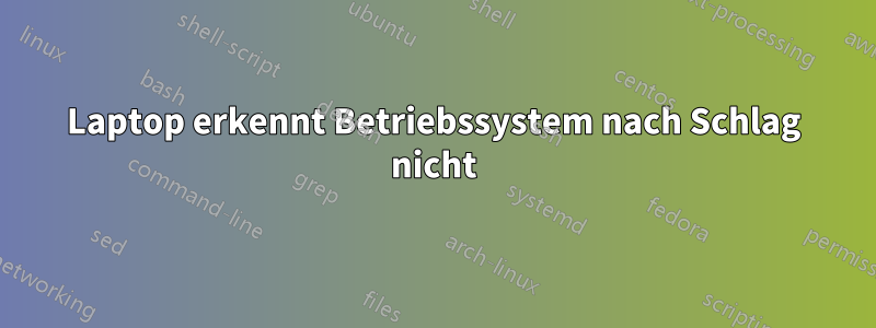 Laptop erkennt Betriebssystem nach Schlag nicht