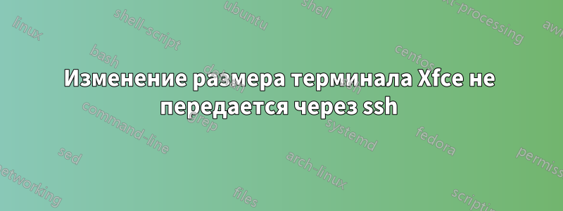 Изменение размера терминала Xfce не передается через ssh