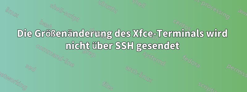 Die Größenänderung des Xfce-Terminals wird nicht über SSH gesendet