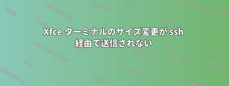 Xfce ターミナルのサイズ変更が ssh 経由で送信されない