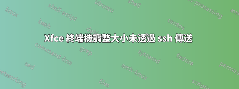 Xfce 終端機調整大小未透過 ssh 傳送