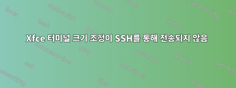 Xfce 터미널 크기 조정이 SSH를 통해 전송되지 않음