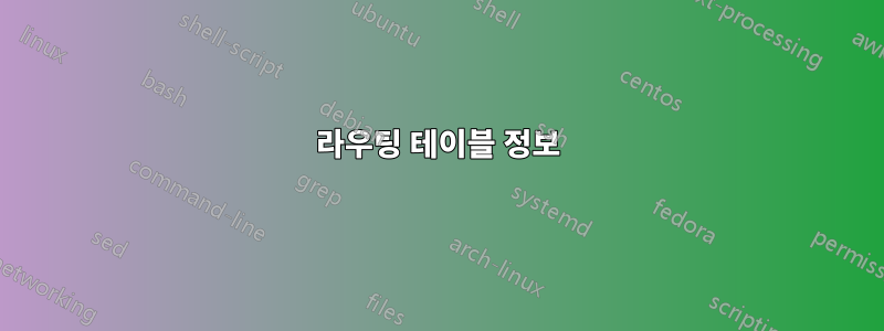 라우팅 테이블 정보